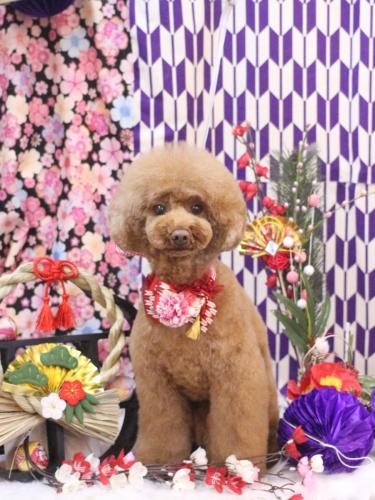 20250125ろこちゃん